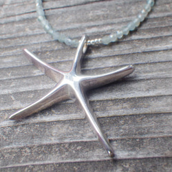 *sv925* HUGE Starfish Seaside Necklace　アパタイト 3枚目の画像