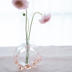 d115e9f89c4751e84da208668691a6