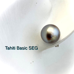 Tahiti Basic SEG（タヒチベーシックピアス） 1枚目の画像