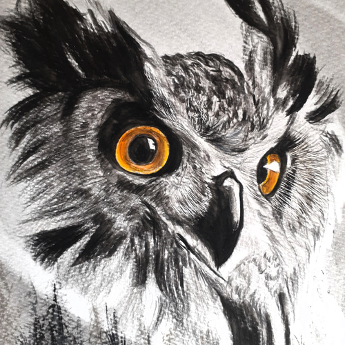 フクロウ色鉛筆画 色鉛筆でフクロウを描いてみた Realistic colored pencil