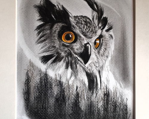 3e2465e80e881b3f6432dc24b5385c