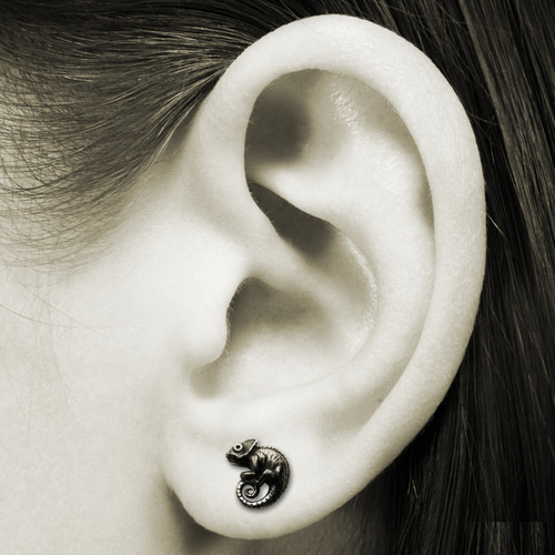 カメレオンピアス ピアス（スタッド・一粒） 拓銀手創銀飾 通販