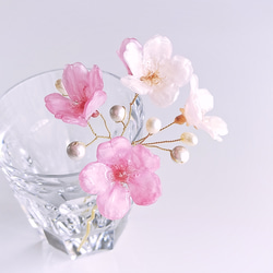 【受注制作】Everpink Bloom. 本物のお花　 桜とパールの揺れる髪飾り（ソメイヨシノ＆早咲きピンク）ワイヤー 3枚目の画像