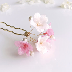 【受注制作】Everpink Bloom. 本物のお花　 桜とパールの揺れる髪飾り（ソメイヨシノ＆早咲きピンク）ワイヤー 12枚目の画像