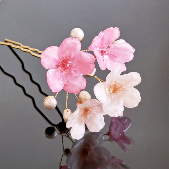 【受注制作】Everpink Bloom. 本物のお花　 桜とパールの揺れる髪飾り（ソメイヨシノ＆早咲きピンク）ワイヤー 8枚目の画像