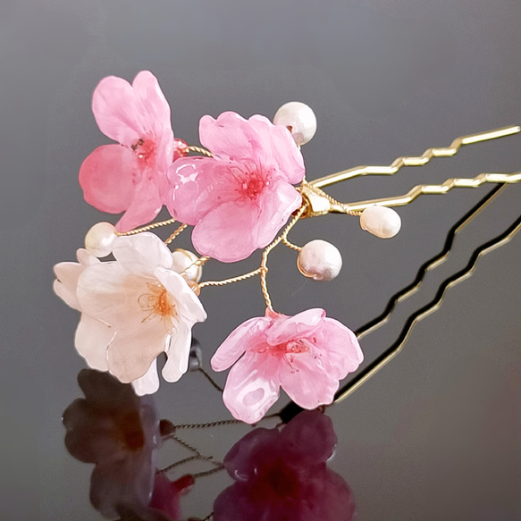 【受注制作】Everpink Bloom. 本物のお花　 桜とパールの揺れる髪飾り（ソメイヨシノ＆早咲きピンク）ワイヤー 4枚目の画像