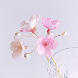 【受注制作】Everpink Bloom. 本物のお花　 桜とパールの揺れる髪飾り（ソメイヨシノ＆早咲きピンク）ワイヤー 6枚目の画像