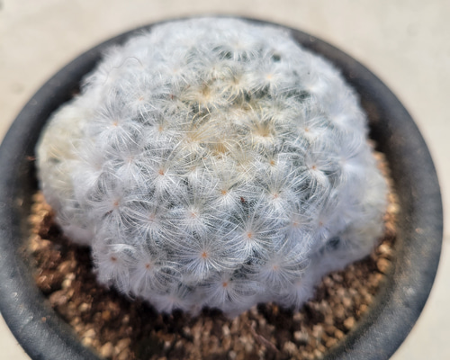 516f5890943d980d3cb894bc2f548c
