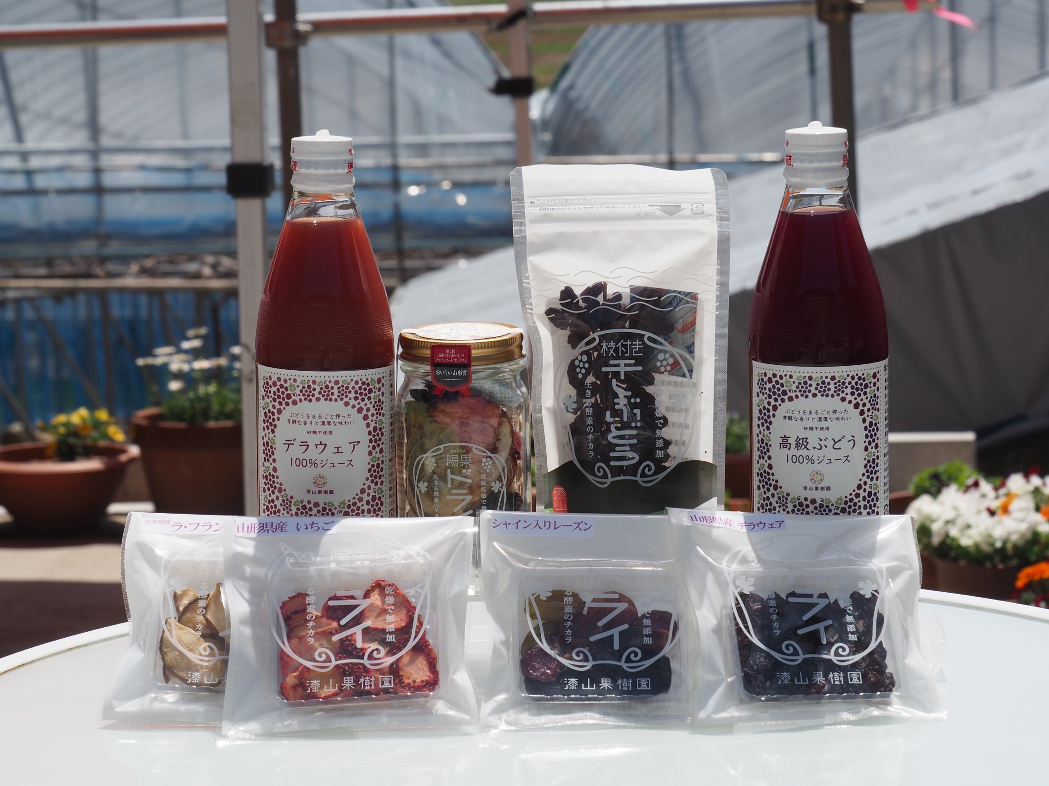 漆山果樹園無添加ギフト ドライフルーツとジュースの厳選詰合せ