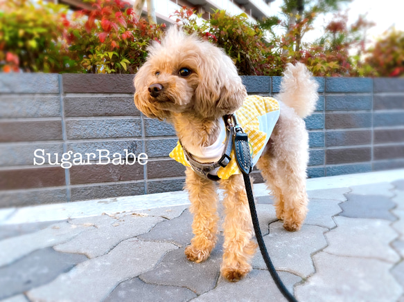 犬服 カジュアル おしゃれ 可愛い シンプル フリル ギンガムチェック くしゅくしゅ ラッフルスリーブ 4枚目の画像