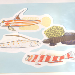 魚のメッセージレター<ハゼとエビ> 3枚目の画像