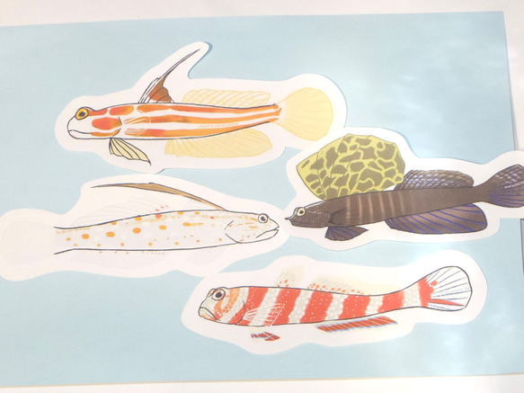 魚のメッセージレター<ハゼとエビ> 3枚目の画像