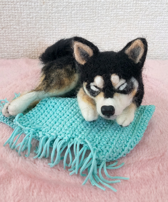 羊毛フェルト　黒柴ちゃん　柴犬 1枚目の画像