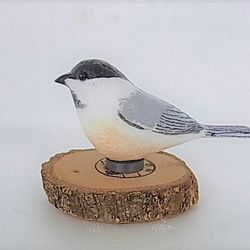 メジロ レジンヘアゴム 野鳥 メジロ レジンヘアゴム 野鳥