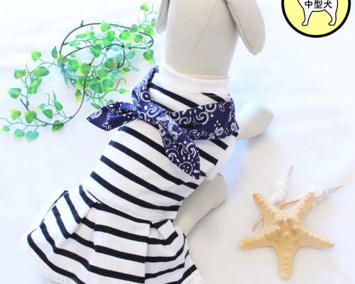 d5c271594a65d5bf2855eb15c3e656