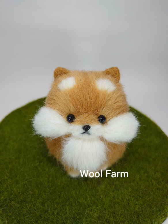 ちょこんとおすわり(柴犬M)　～Wool Farm～　羊毛フェルト 3枚目の画像