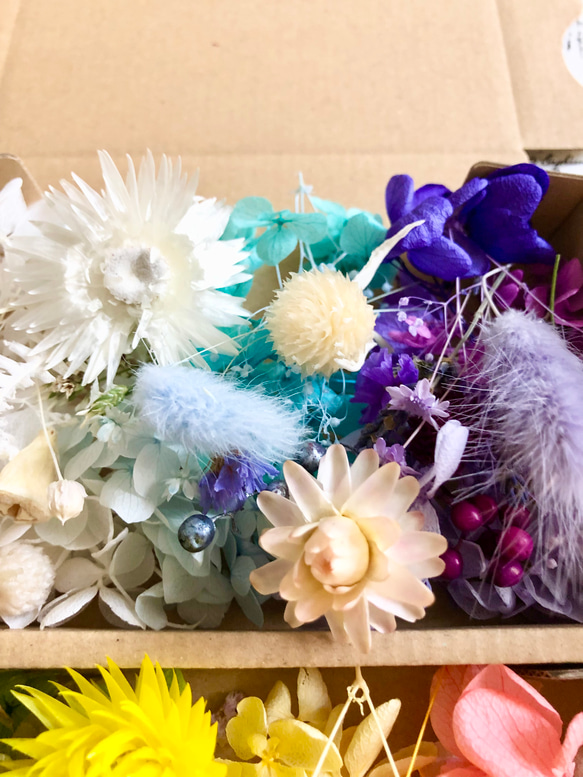 トロピカル8カラーお花盛り花材詰め合わせ3箱セット 7枚目の画像