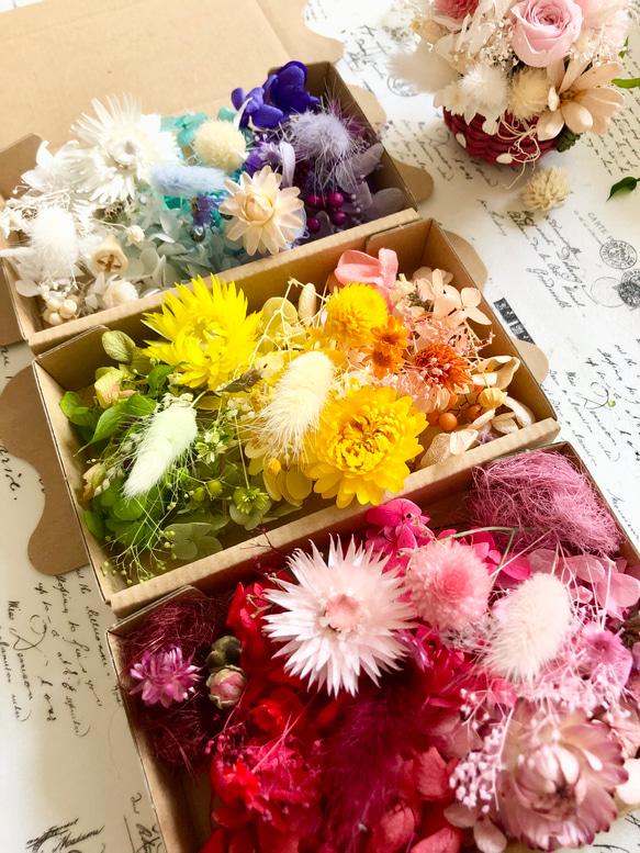 トロピカル8カラーお花盛り花材詰め合わせ3箱セット 1枚目の画像