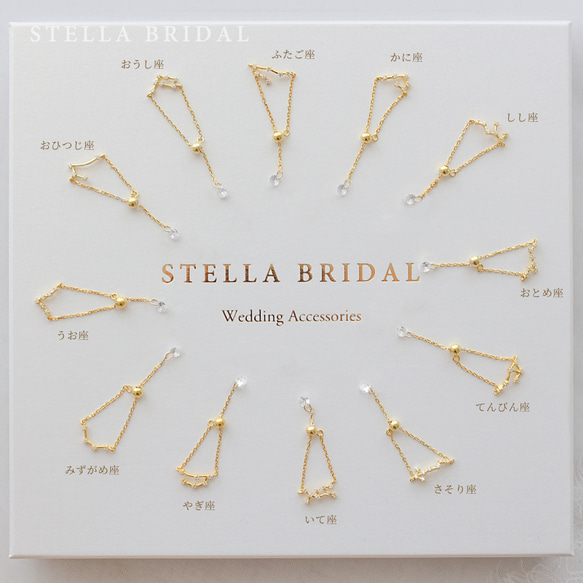 StellaBridal＊SV925＊12星座キュービックジルコニアチャームの華奢チェーンリング 6枚目の画像