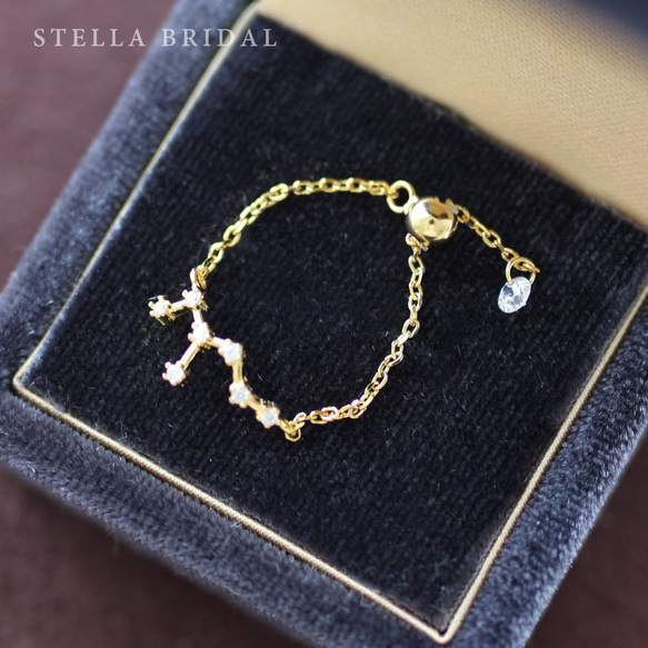 StellaBridal＊SV925＊12星座キュービックジルコニアチャームの華奢チェーンリング 2枚目の画像