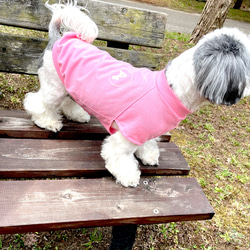 ★犬服★モスキートストップTシャツ　選べるワッペン　パステルカラー 1枚目の画像