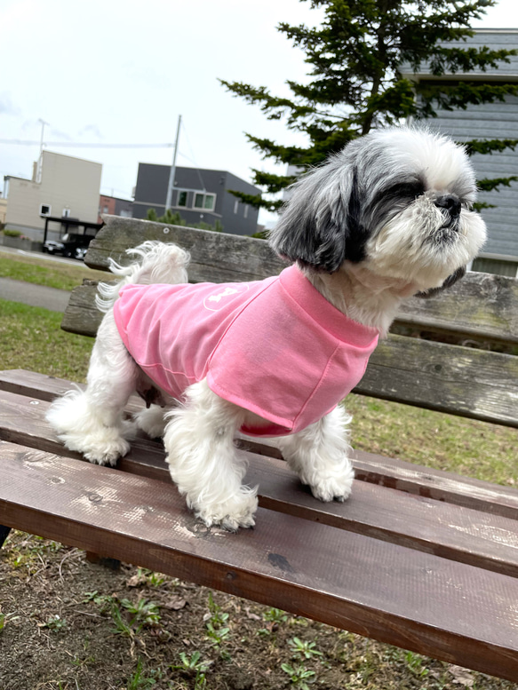 ★犬服★モスキートストップTシャツ　選べるワッペン　パステルカラー 12枚目の画像