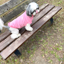 ★犬服★モスキートストップTシャツ　選べるワッペン　パステルカラー 13枚目の画像