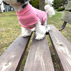 ★犬服★モスキートストップTシャツ　選べるワッペン　パステルカラー 11枚目の画像