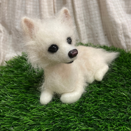 うちの子オーダー 受注制作 羊毛フェルト犬 チワワ 見本 羊毛フェルト