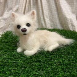 うちの子オーダー 受注制作 羊毛フェルト犬 チワワ 見本 羊毛フェルト