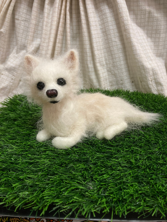 羊毛ひフェルト　チワワ　犬 羊毛フェルト チワワ 犬 - メルカリ