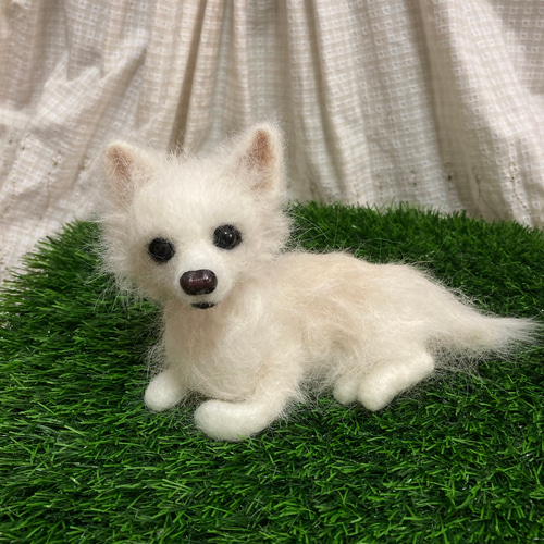 受注制作 羊毛フェルト犬 チワワ 見本 羊毛フェルト doglover