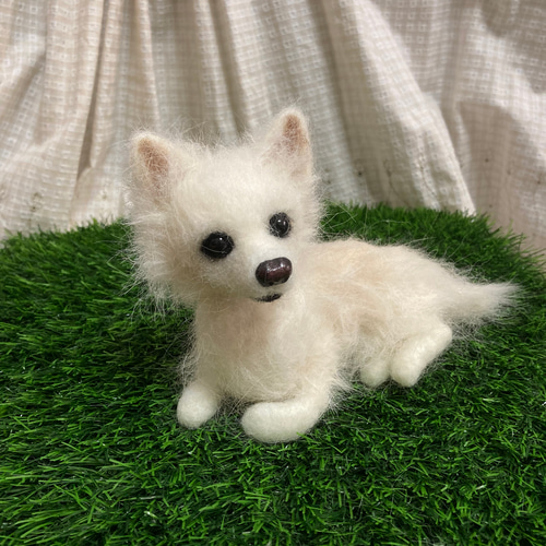 うちの子オーダー 受注制作 羊毛フェルト犬 チワワ 見本 羊毛フェルト