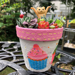 お正月飾り 店舗 玄関 お年賀 プレゼント 寄せ植え 多肉植物 虎