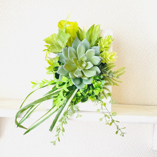 ウォールフレームgreen ⑯ ウォールグリーン 多肉植物 アーティ  