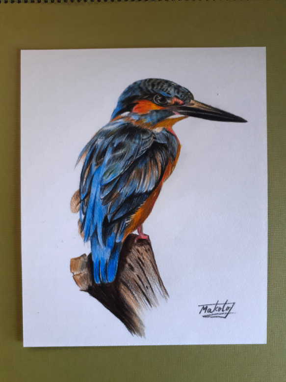 色鉛筆画 カワセミ 絵画 makochin 通販 13894807｜Creema(クリーマ)