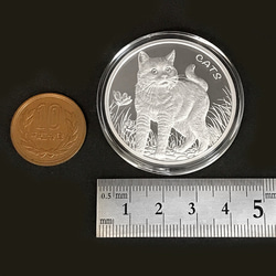 【銀貨】庭猫 フィジー 2021年 1オンス シルバーコイン【純銀素材 新品 ハンドメイド用アクセサリーパーツ素材】 10枚目の画像