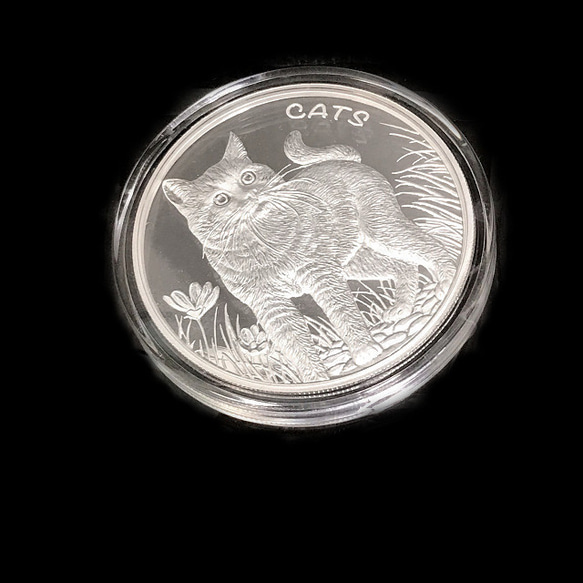 【銀貨】庭猫 フィジー 2021年 1オンス シルバーコイン【純銀素材 新品 ハンドメイド用アクセサリーパーツ素材】 9枚目の画像