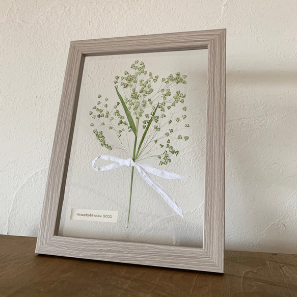 押し花額（特別セール）26額【セット販売】 - 押し花 額・プリザーブド