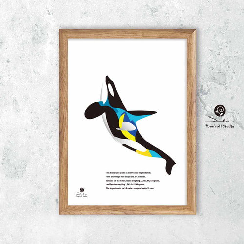 オルカ シャチ イラスト ポスター A4 A3 A2 A1 アート アートポスター