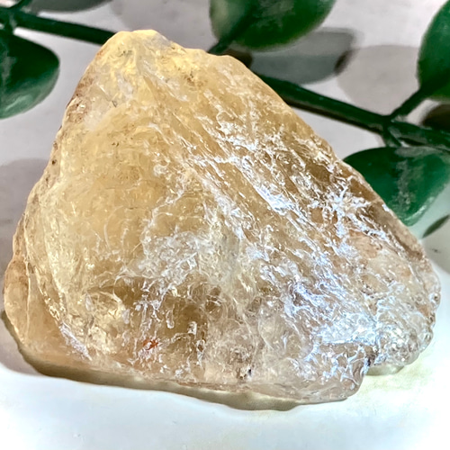 非加熱！シトリンたんだよ！すごいよ！ナイジェリア産だよ
