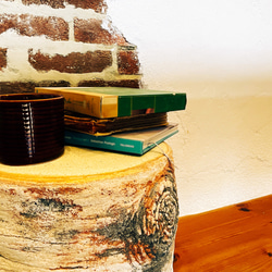 擬木スツール サイドテーブル 収納 / 白樺風 / 左官屋てづくりの一点物 / モルタル造形 5枚目の画像