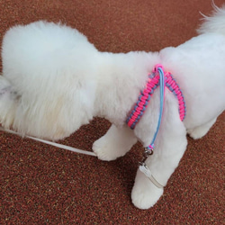 「Ｙさまオーダー品」ピンクのハーネス　小型犬用　お揃いのリードもあります 3枚目の画像
