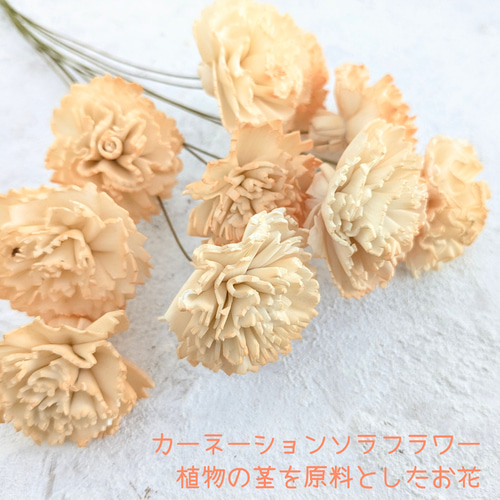 早割＊大きさ選べるナチュラルブーケ 森のお花屋さん【M・Lサイズ S