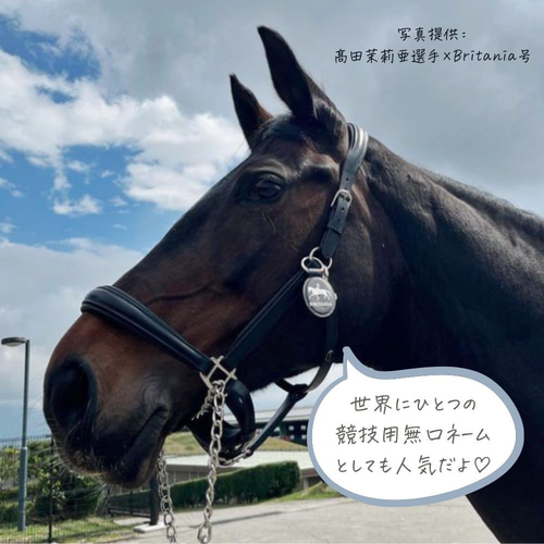 SOMÈS×Versailles Resort Farm 新馬名プレートキーホルダー