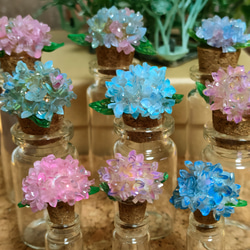 えっちゃん様【ミニチュアフラワー】紫陽花☆鉢植え