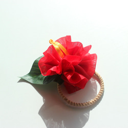 木槿花髮帶/紅色透明紗/用於草裙舞、浴衣和尤克里裡演奏會/夏威夷花彈性絲帶配件 第3張的照片