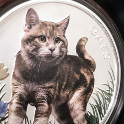 【銀貨】庭猫 フィジー 2022年 1オンス シルバーコイン カラー版【純銀 新品ハンドメイド用アクセサリーパーツ素材】 3枚目の画像