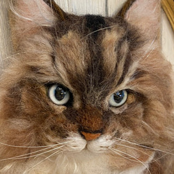 【オーダー例_ウーチャ君01】羊毛フェルト、猫ぬいぐるみ、フェルト猫、半立体肖像画、オーダーメイド 10枚目の画像