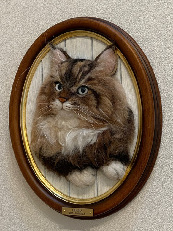 【オーダー例_ウーチャ君01】羊毛フェルト、猫ぬいぐるみ、フェルト猫、半立体肖像画、オーダーメイド 7枚目の画像